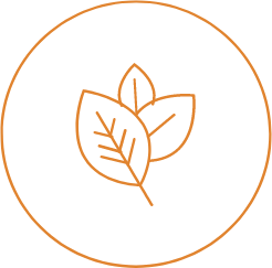 100% Pure <br>Natural Products